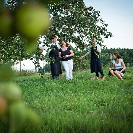 Biohotel Pausnhof (adults Only) 3*